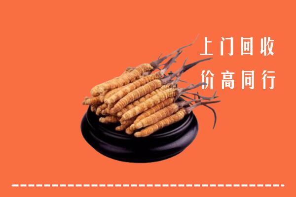 铜仁市玉屏县回收散虫草