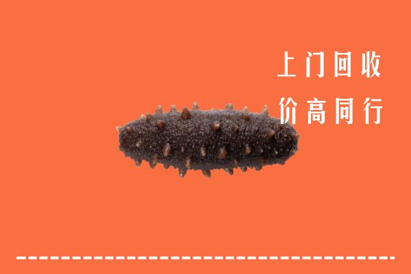 铜仁市玉屏县回收海参