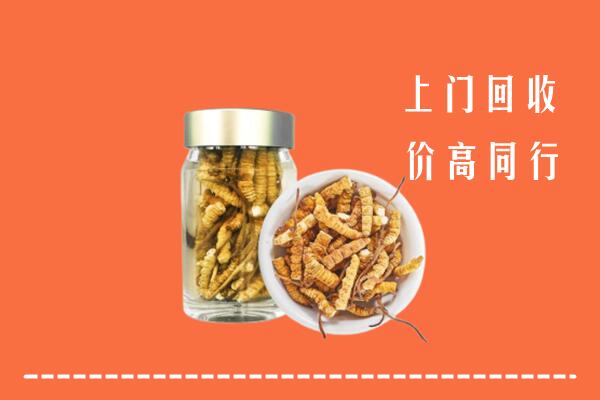 铜仁市玉屏县回收冬虫夏草